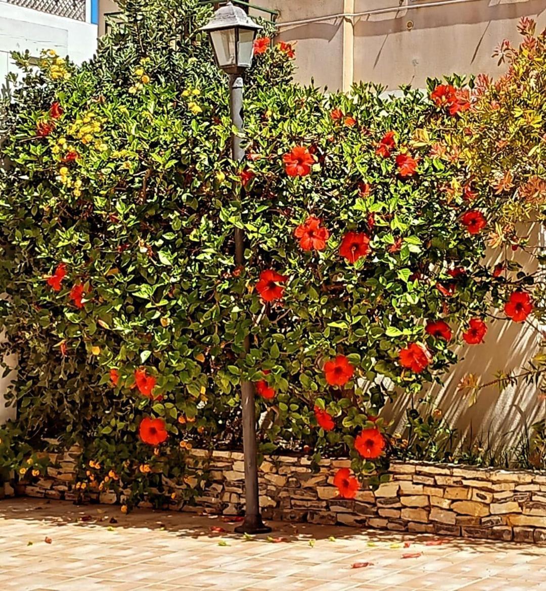 Blu Vacanze Residence Favignana Kültér fotó